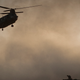Illustration for article titled 31 US Special Forces Troops Die In Largest Loss of Life In Afghanistan (Updated)